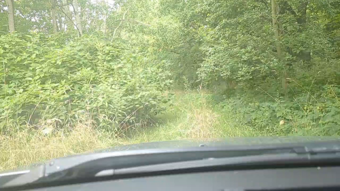 maglernen