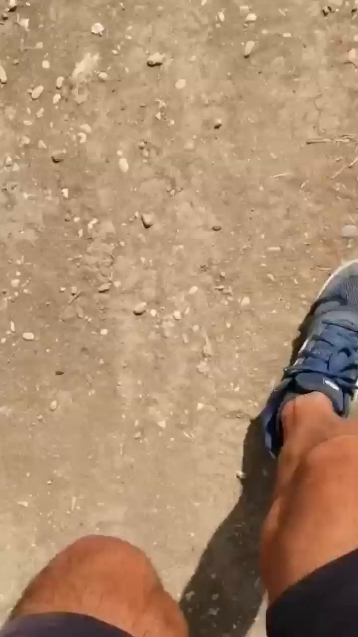 stefan519