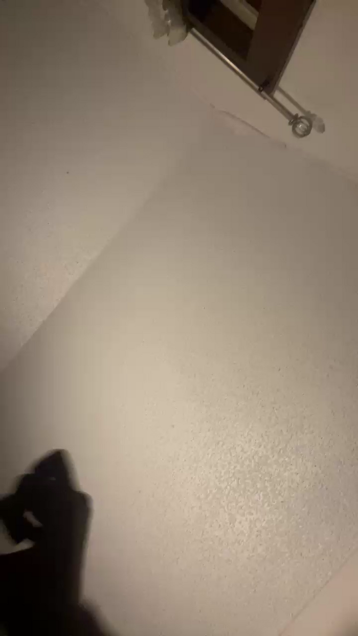 Babi_lu22
