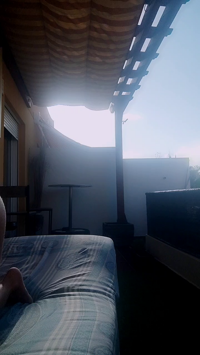 stefycamy