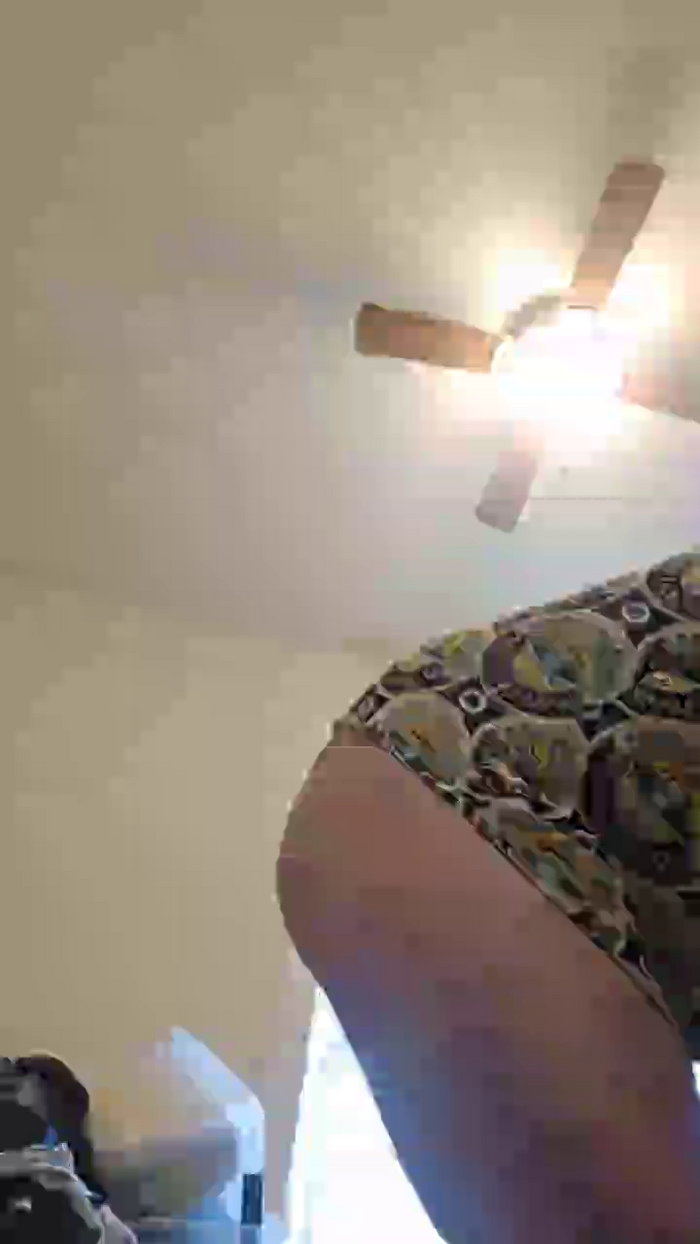 Beardedveteran