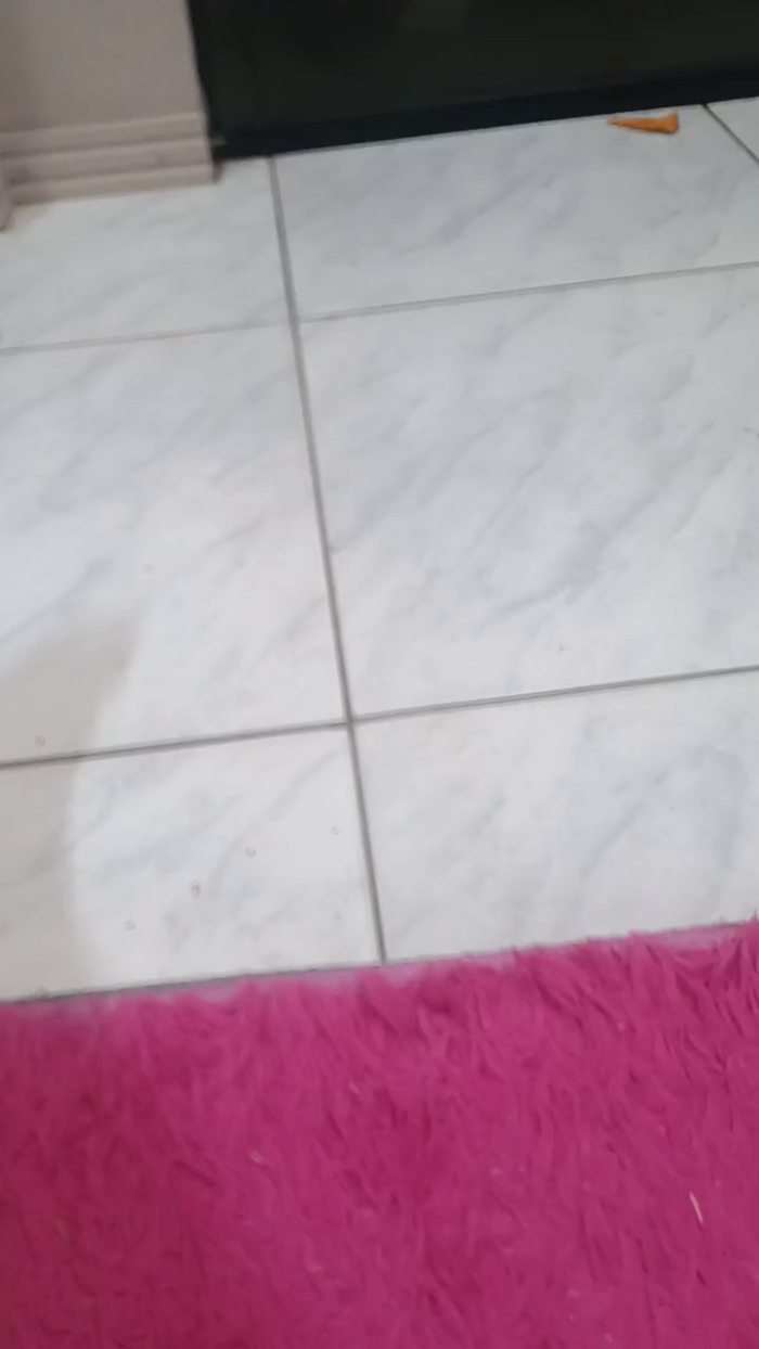 Meupaubranco