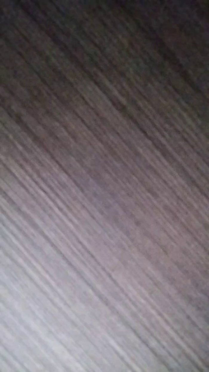 Latinaakita4