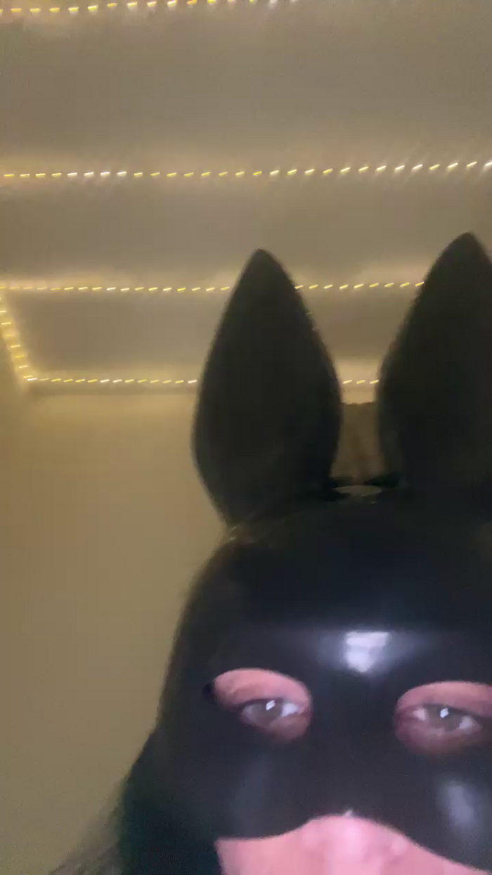 L_u_l_u