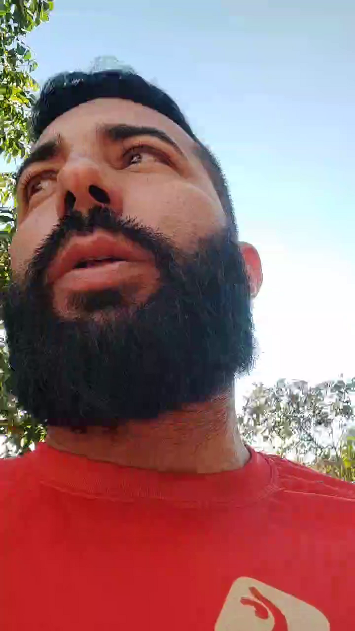 Aieloucura