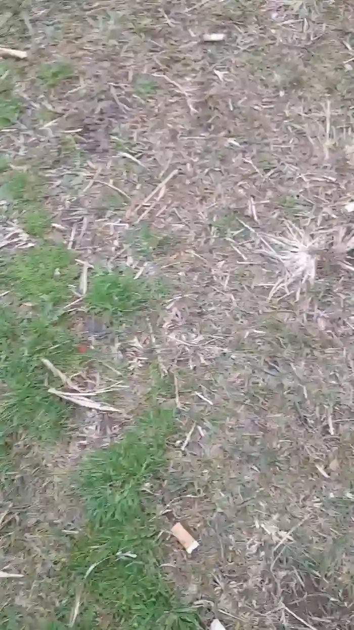 2025/07/31/cam4-diablasexx-14-07-55