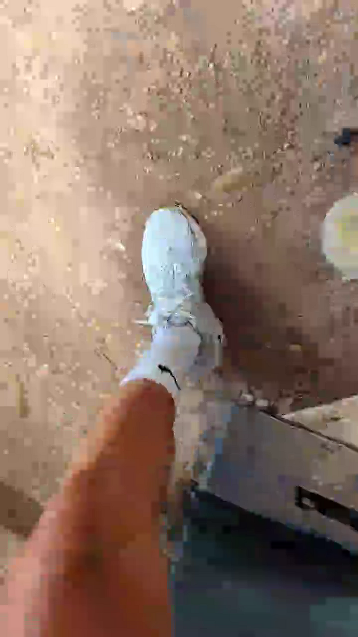 Papiyoungpig