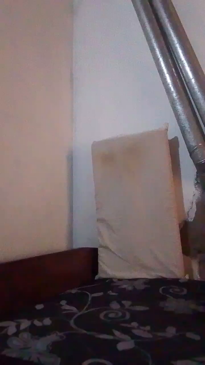 dan_x23