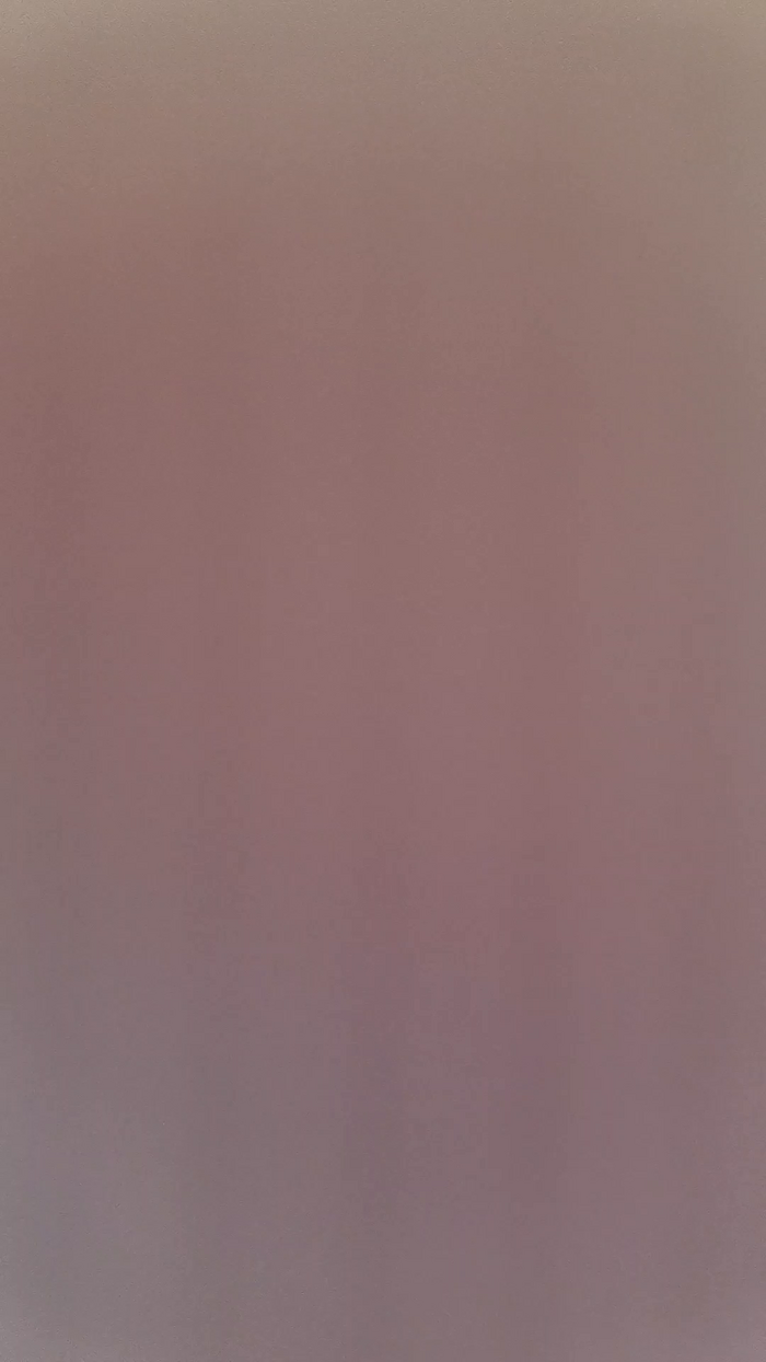 viraglaci18