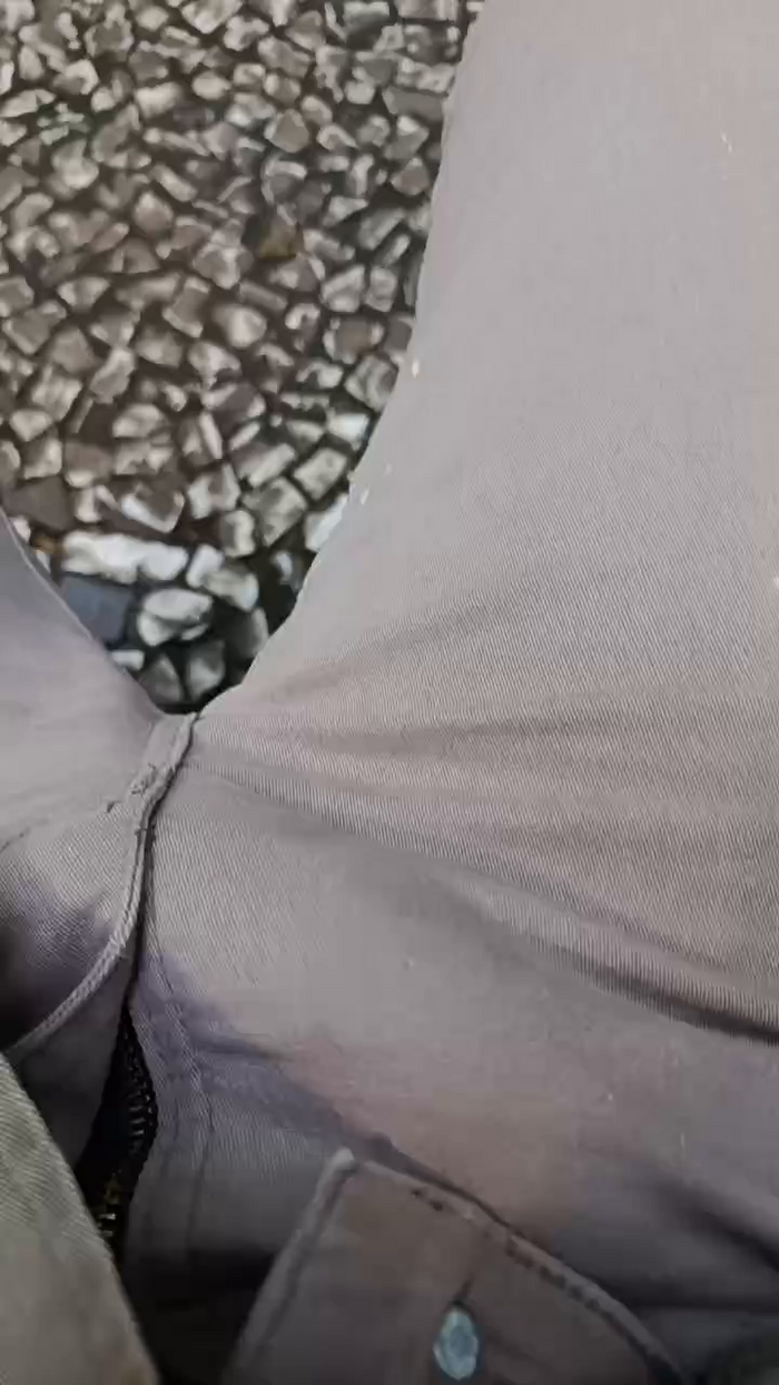 Aieloucura