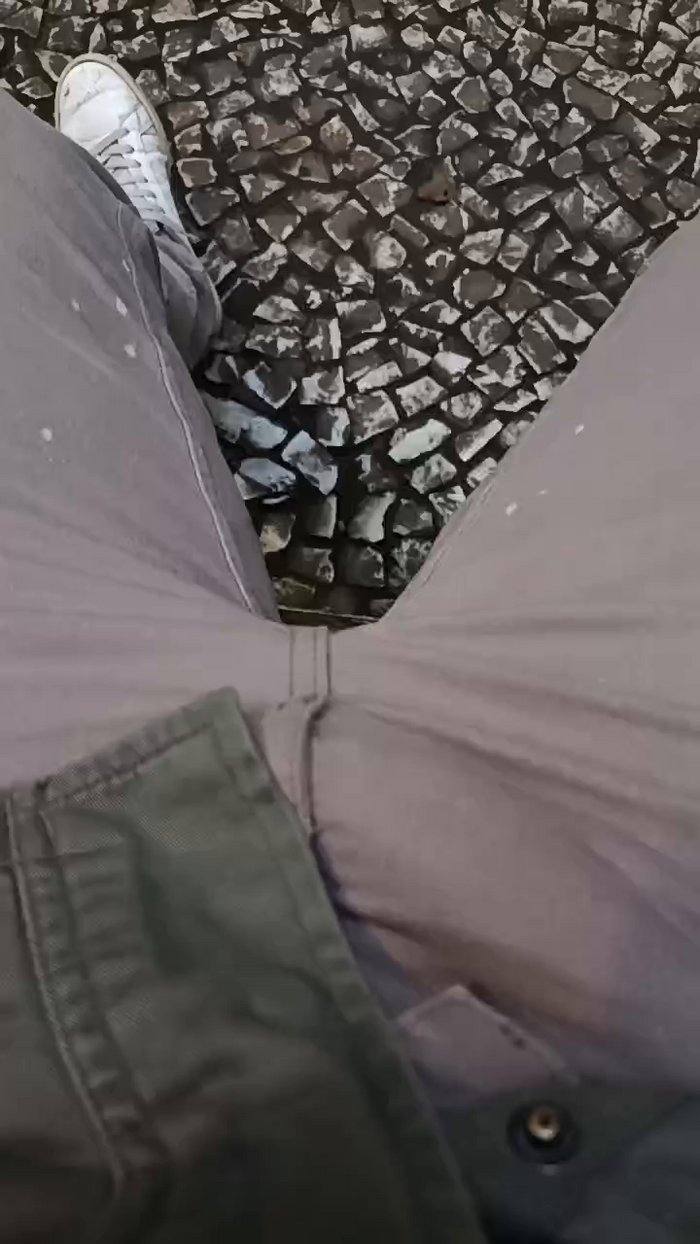 Aieloucura