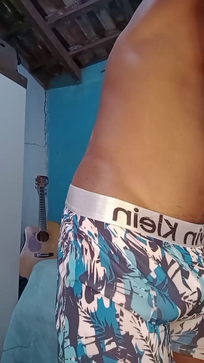 leosilvajf