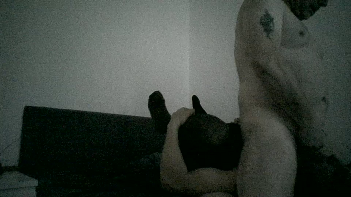 palpi2