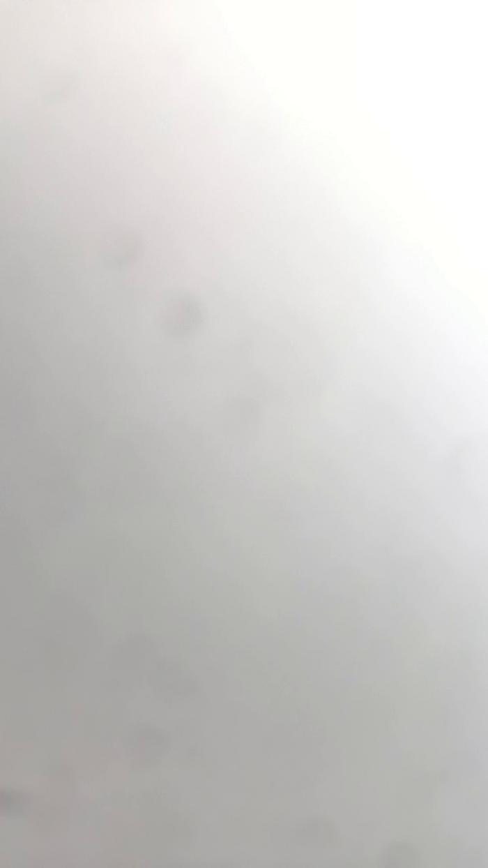 Petitebombe34