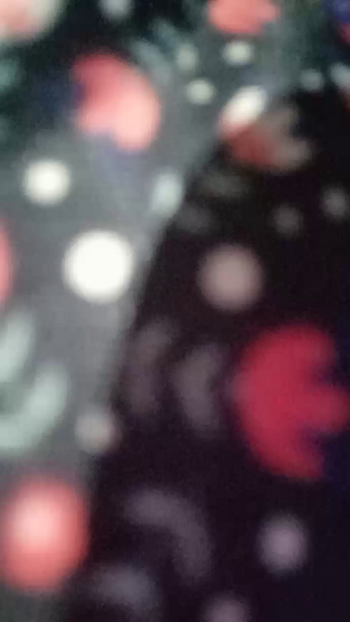 Dani_Safad4