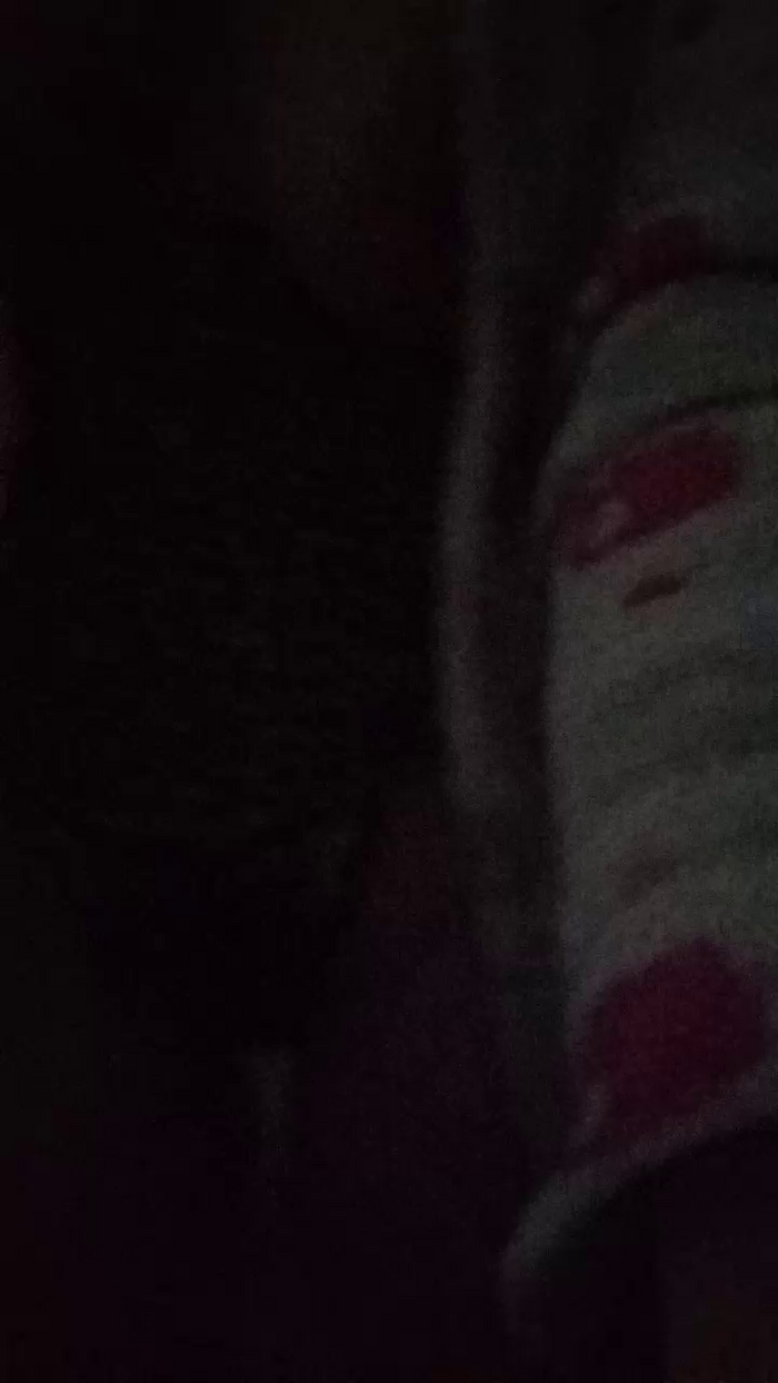 Dani_Safad4