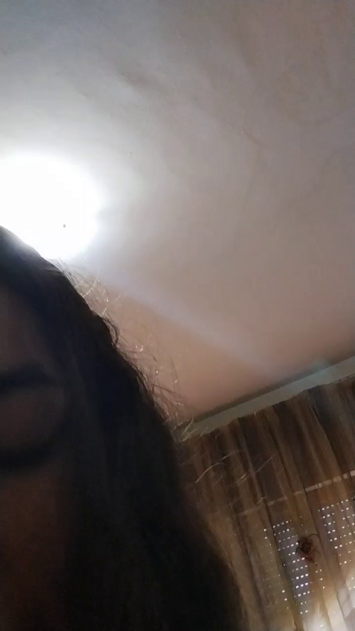 Laika98