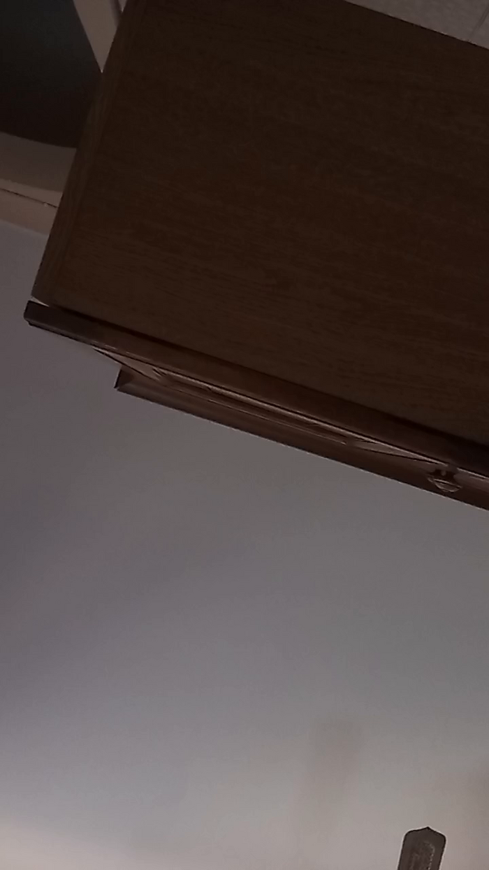 vogliadi6