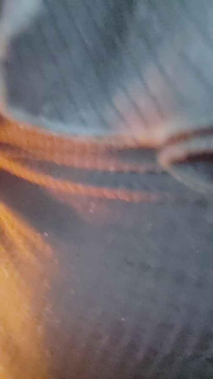 lilith209