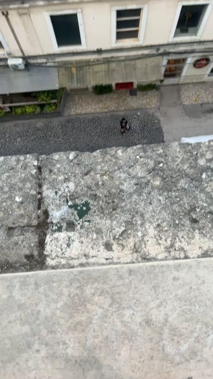 Alcindogomes
