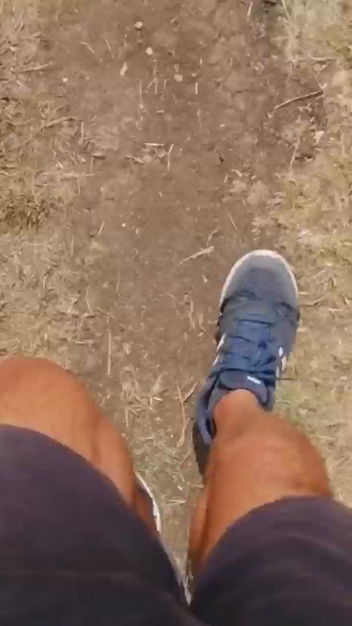 stefan519