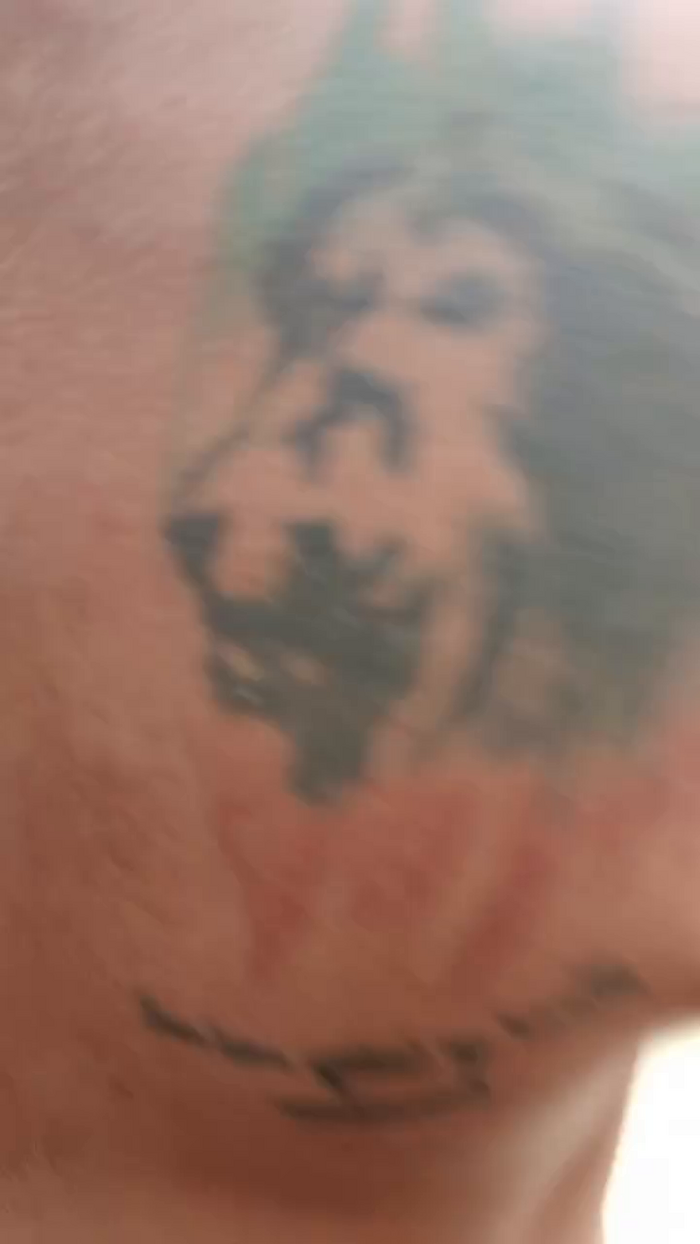 Cicciovendetta