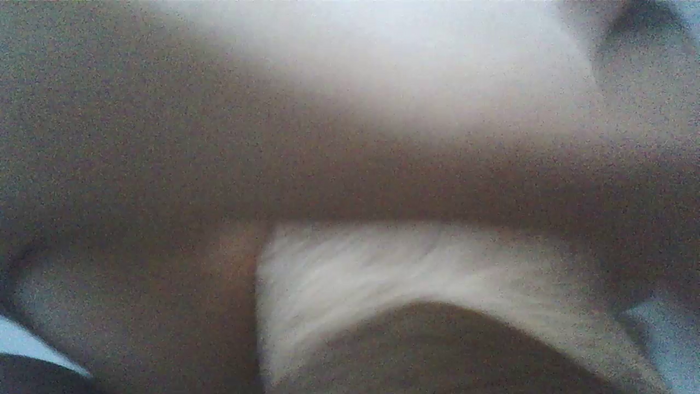 Lapetitesoumis