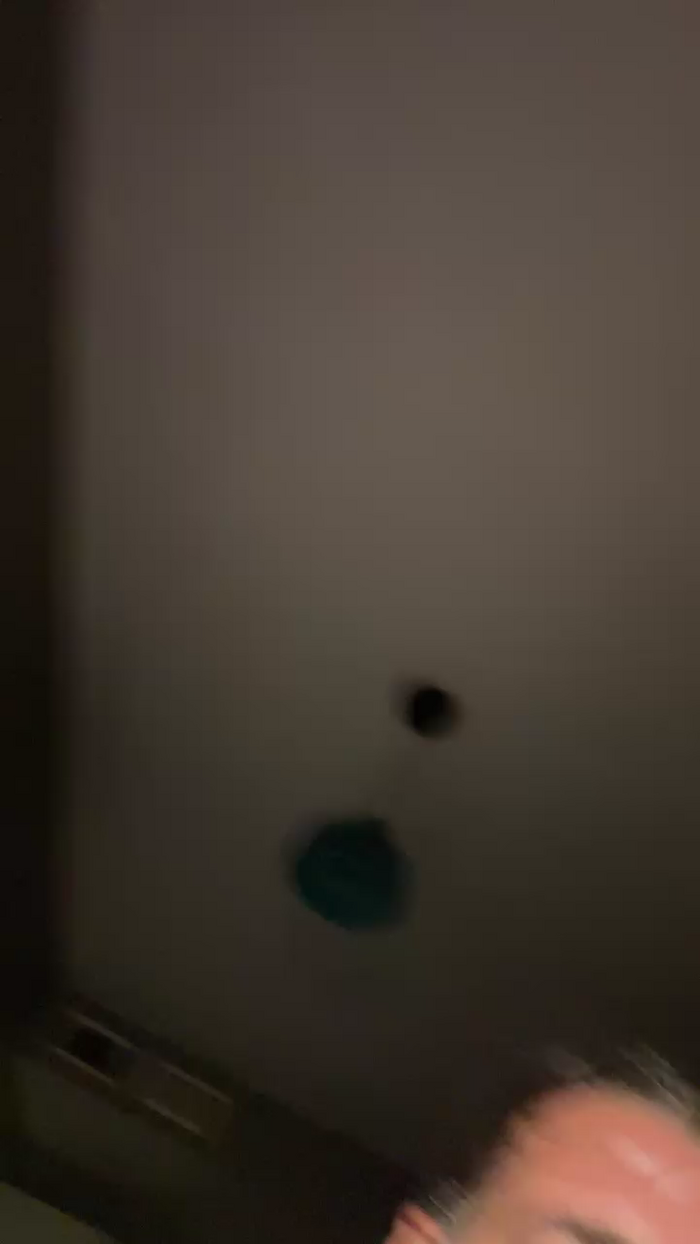 Pollon29_cm