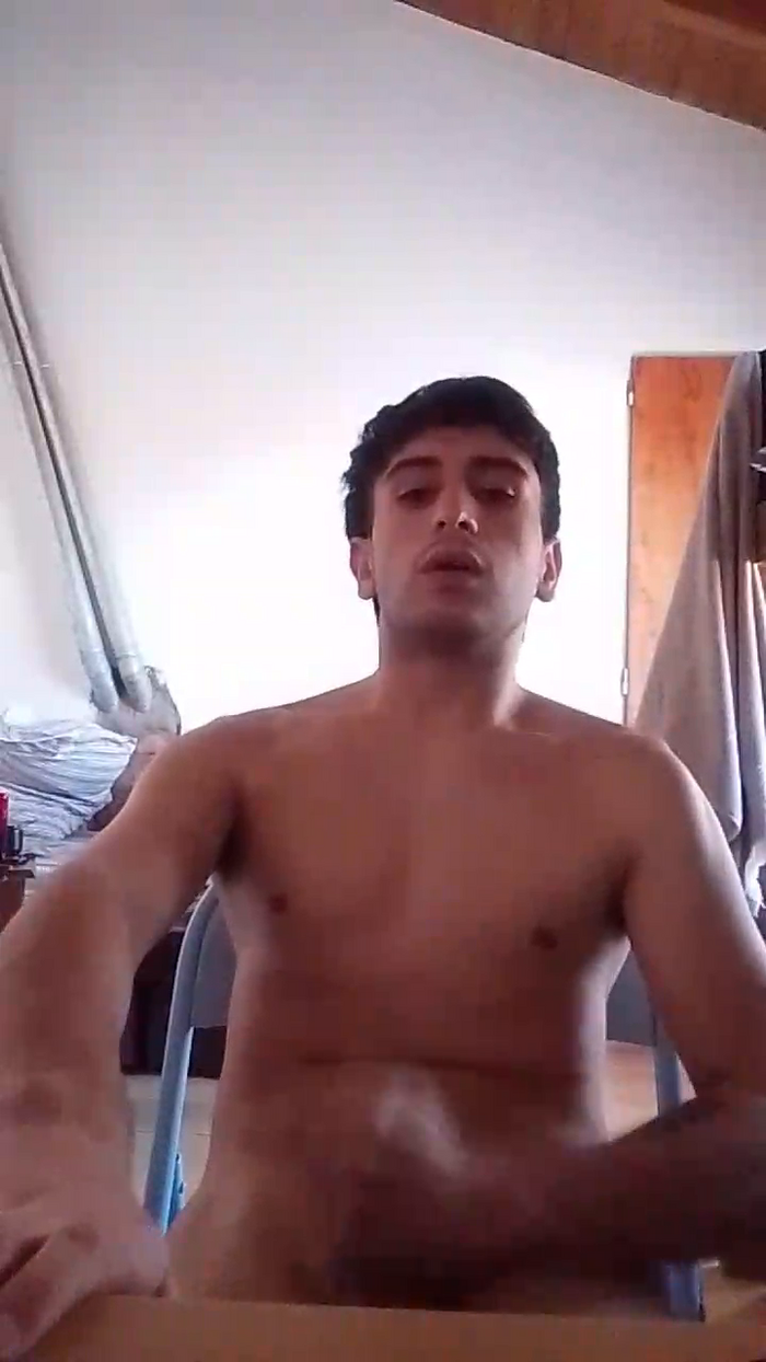 dan_x23