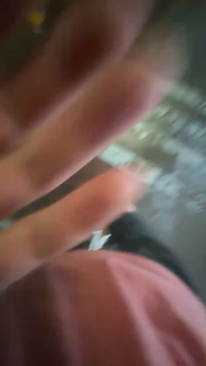 Alcindogomes