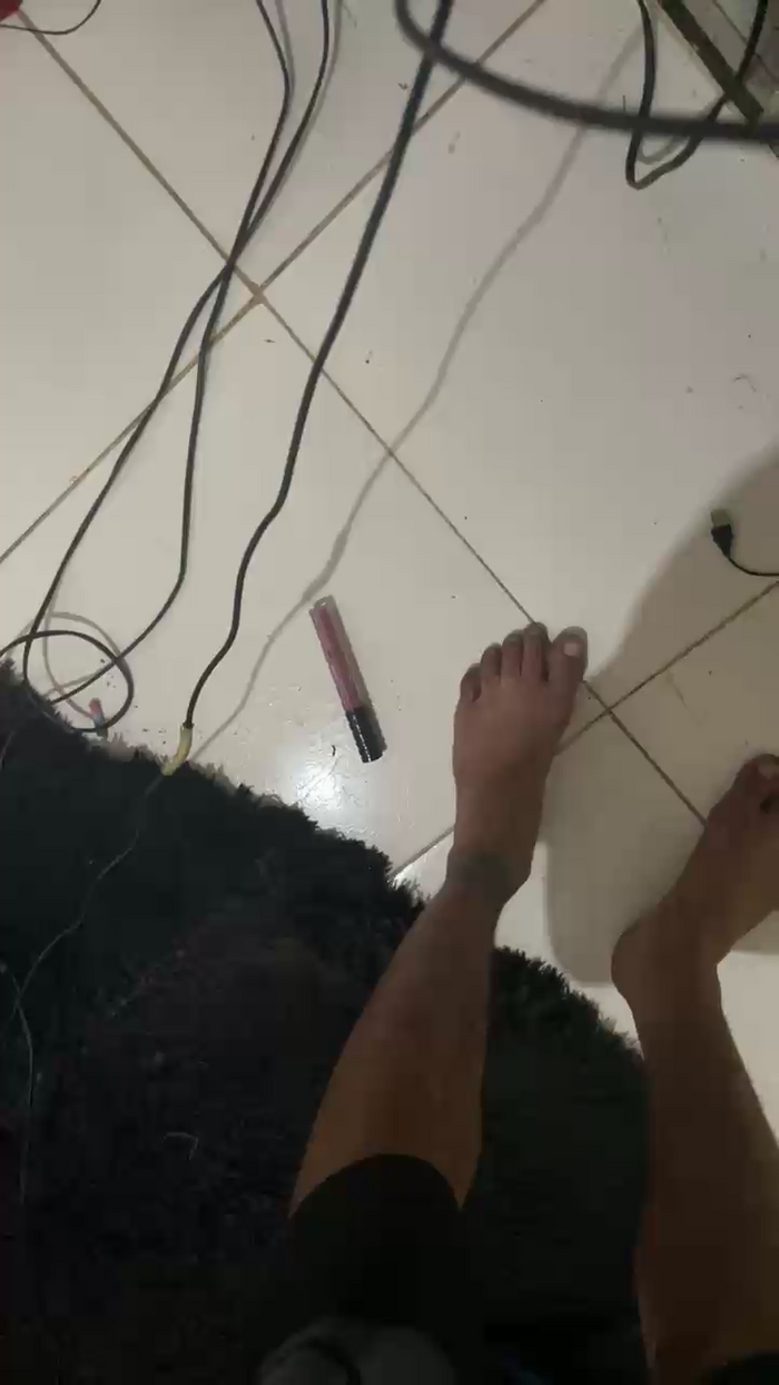 dedessa3