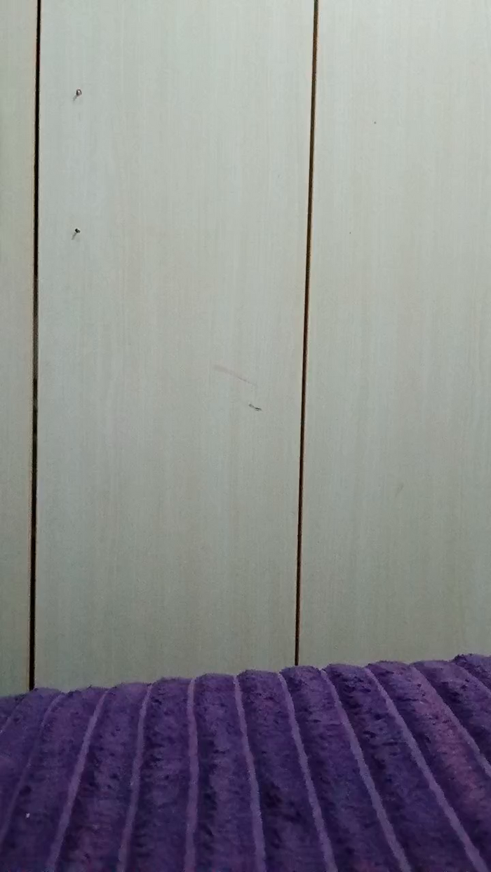 Moramguinho56