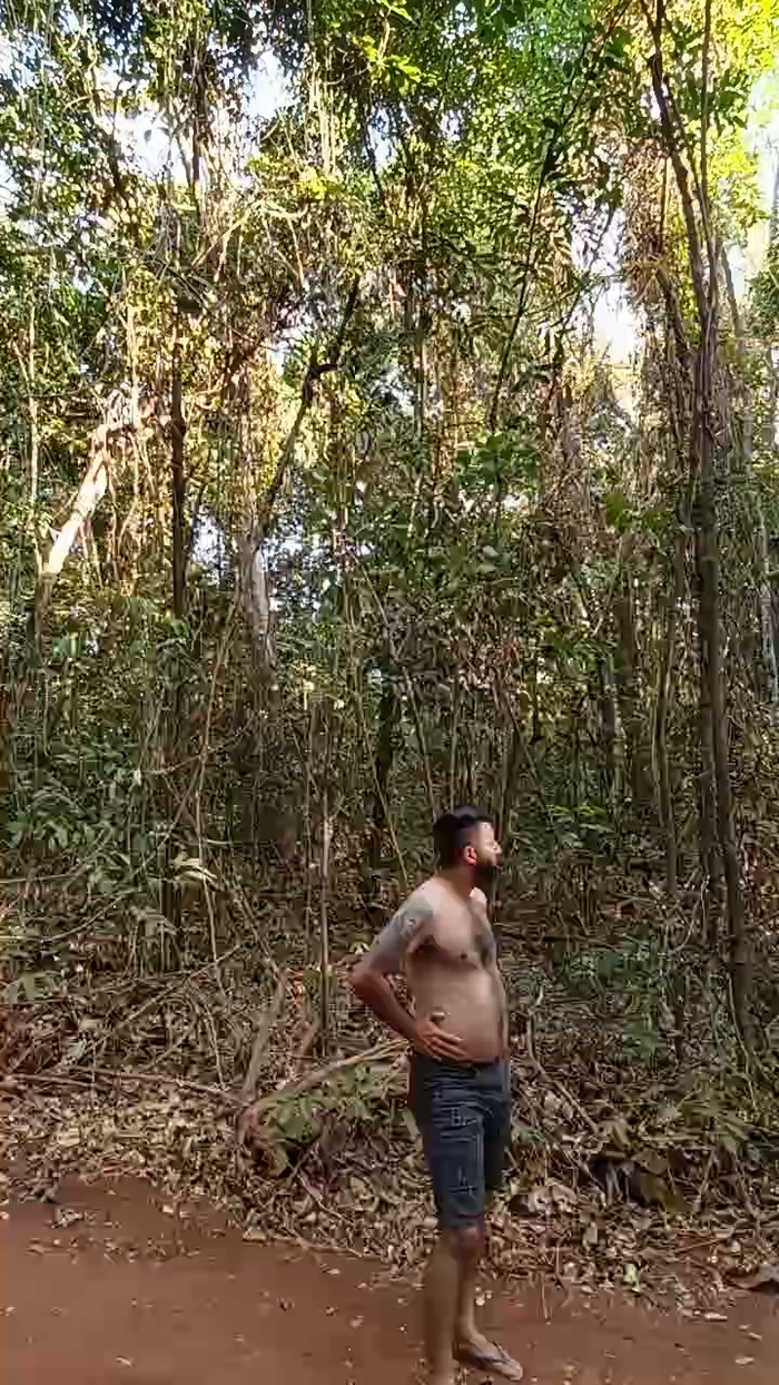 Aieloucura