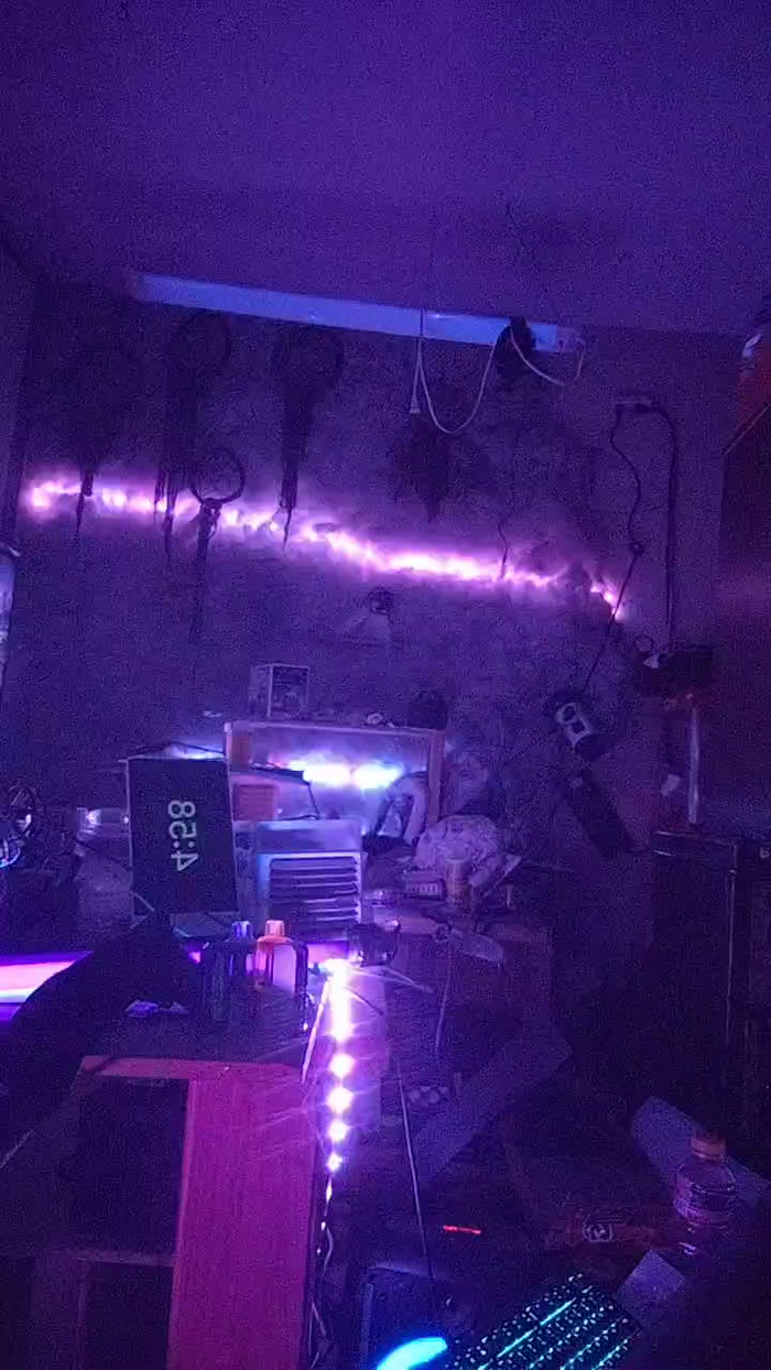 physicssexpert