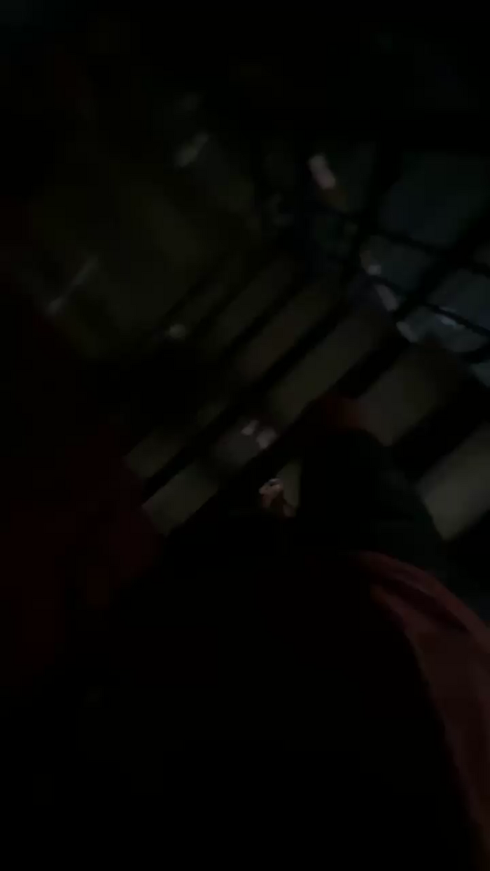 Alcindogomes