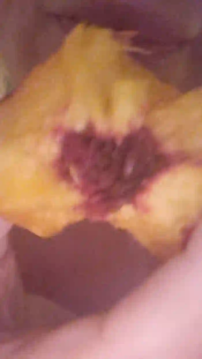 2025/08/21/cam4-gourmandise6259-09-27-52