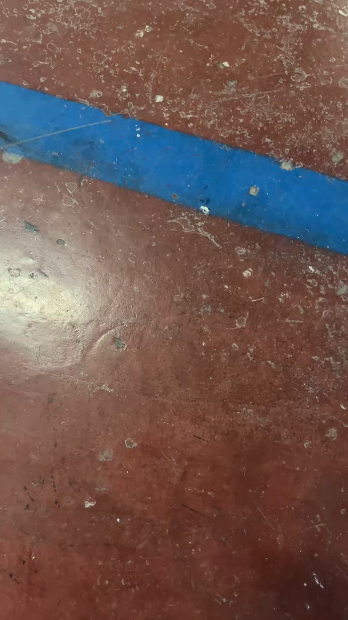Alcindogomes