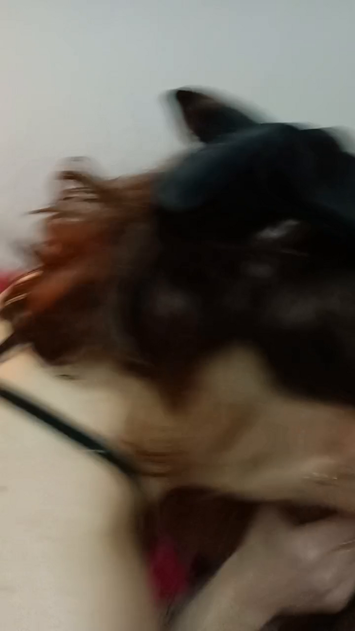 Lacata