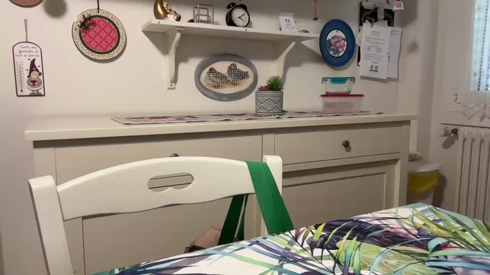 Olesia_gatta1