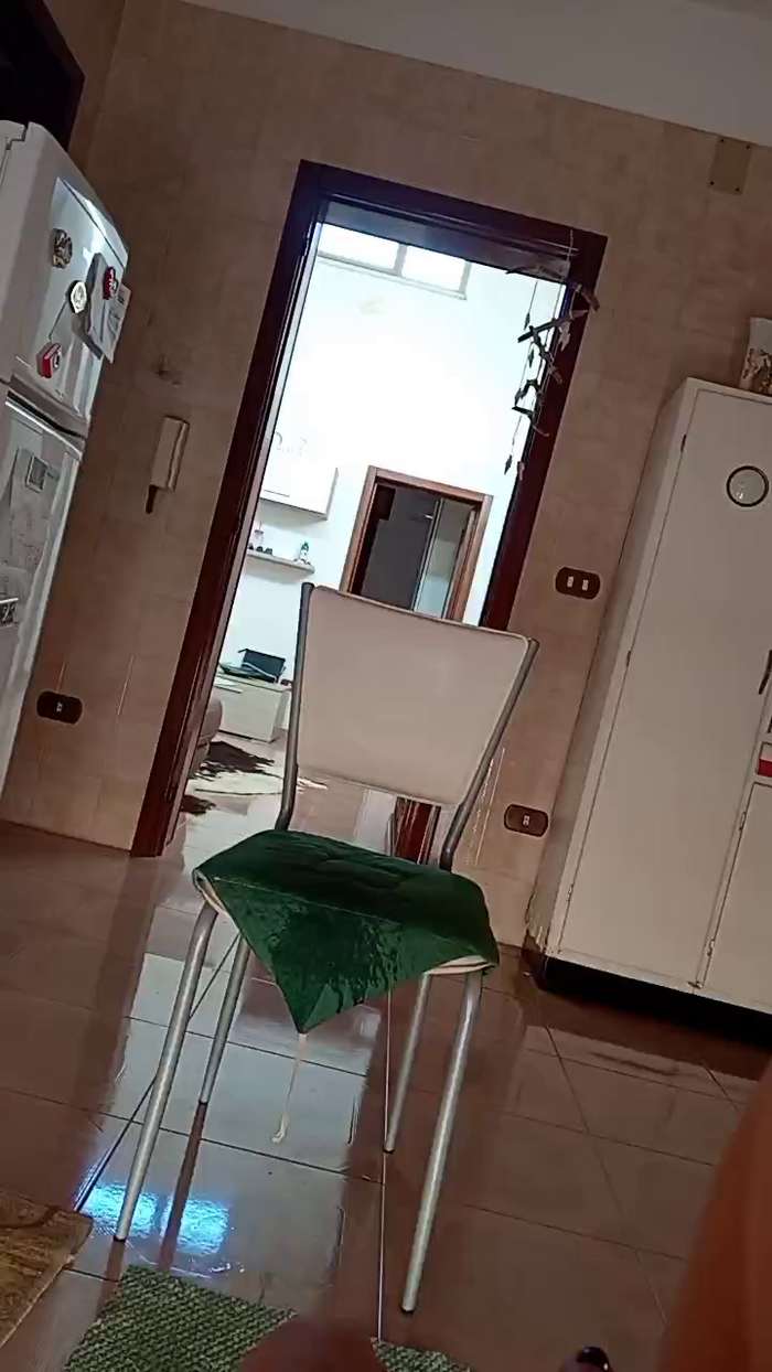 sapessi3