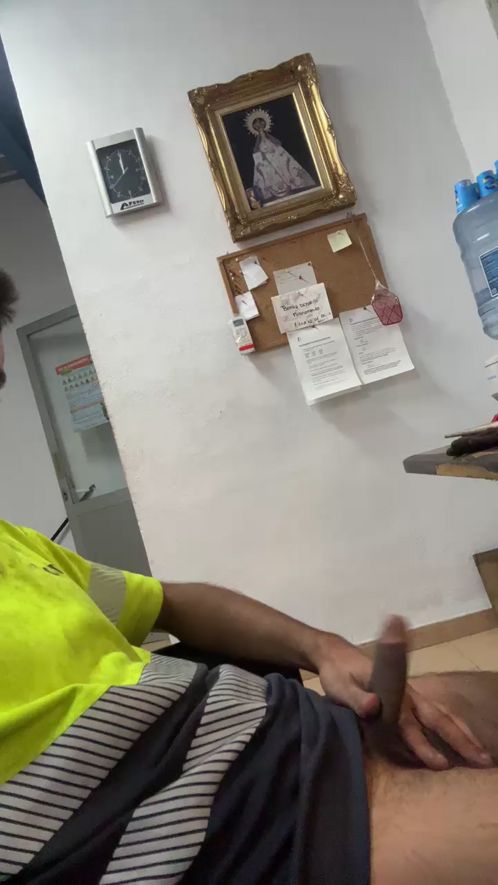 Chicoytrans20