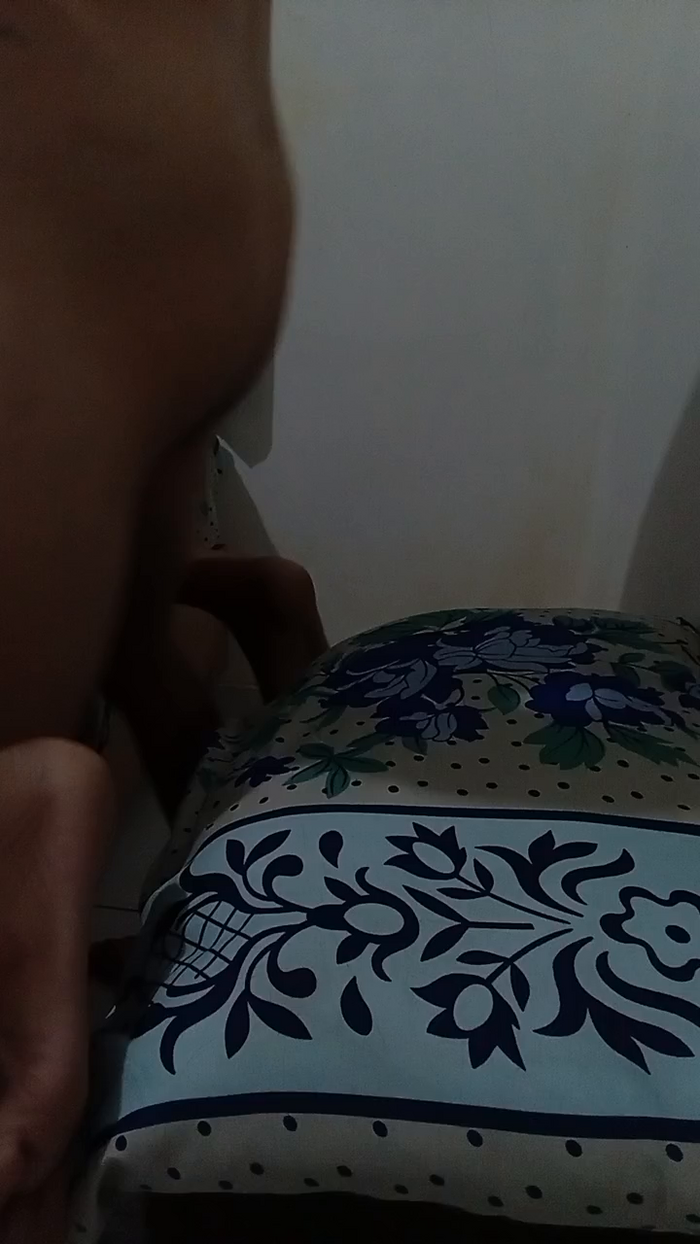 CasalMH