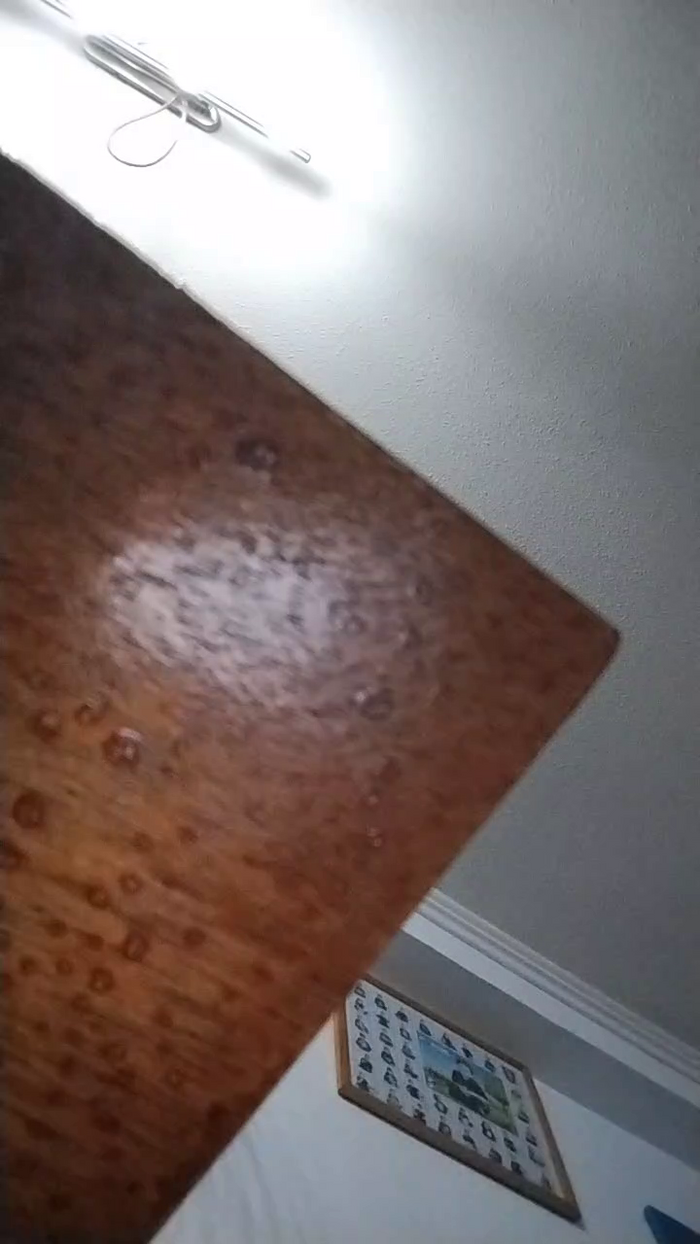 Latinaakita4