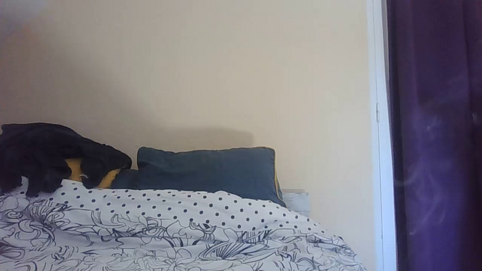 malacoquine_fun