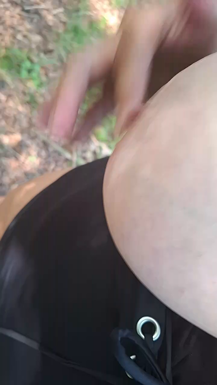 Gurke_Melone