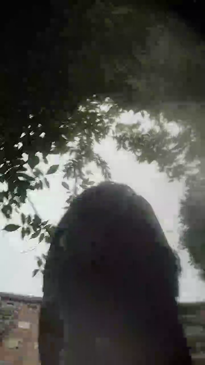 Themonkey07