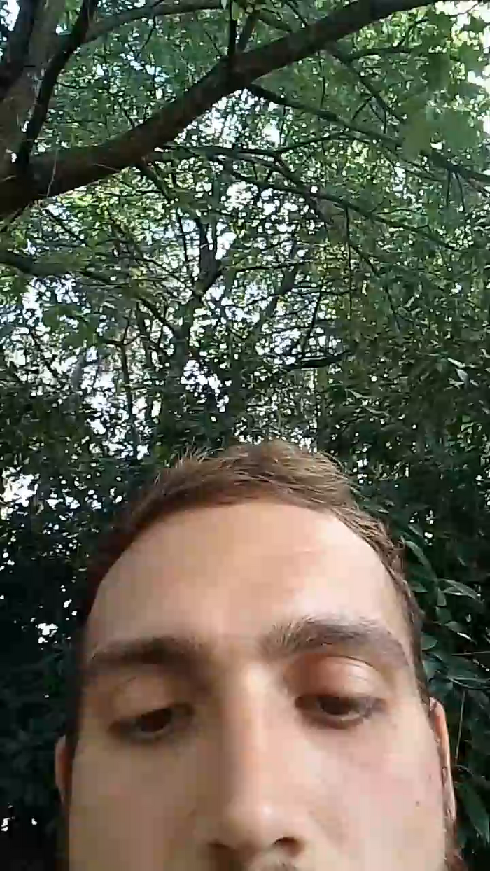 lLovePussy01