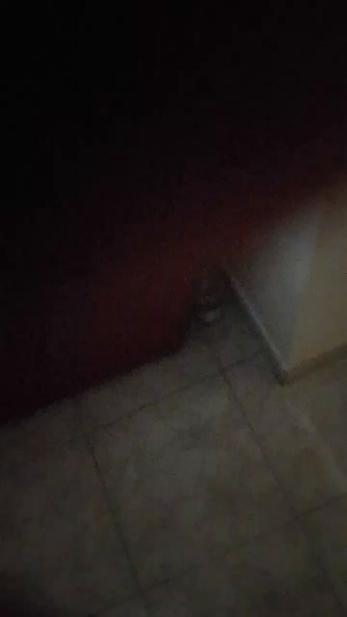 Zoccoletta81
