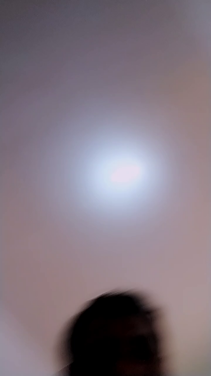 LarissafogozaA2