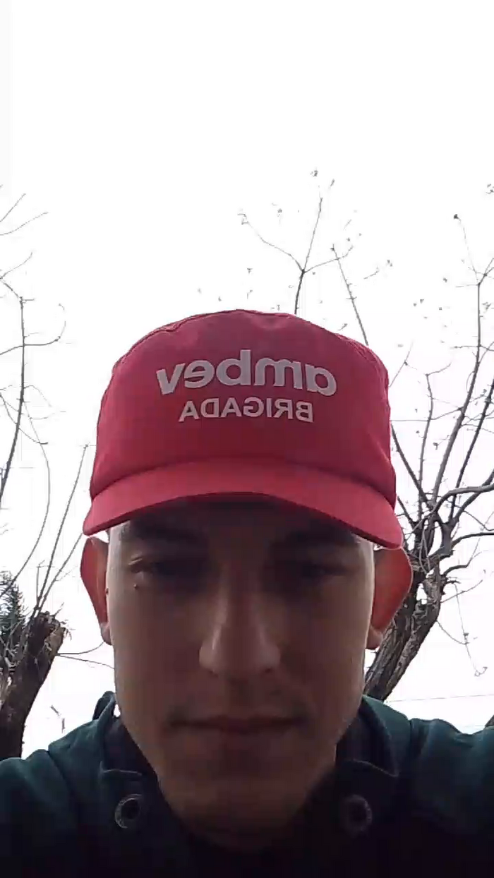 SDOlyver